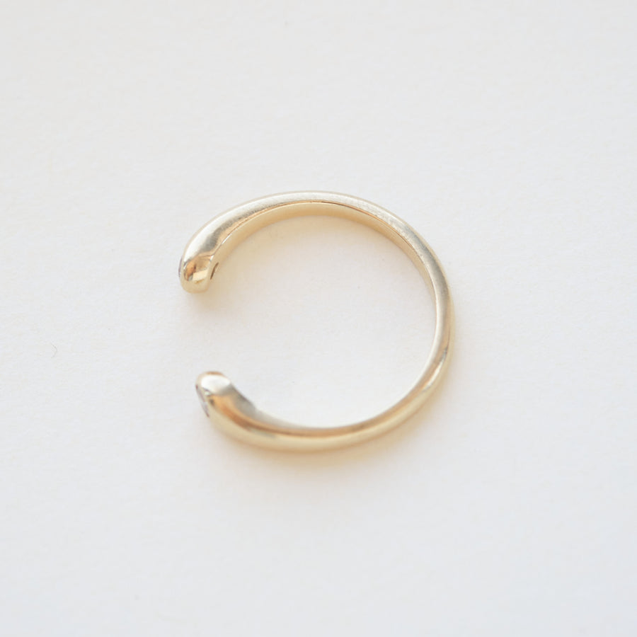 SERPENTINE RING (no stones)